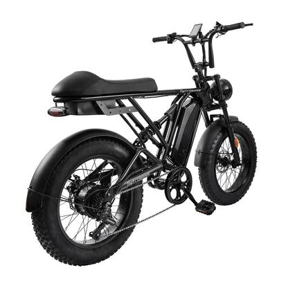 RetroEase DY005 ファットタイヤ電動自転車