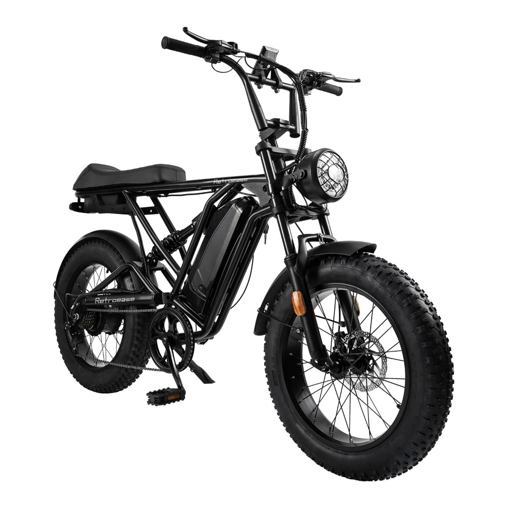 RetroEase DY005 ファットタイヤ電動自転車