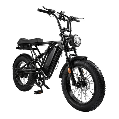RetroEase DY005 ファットタイヤ電動自転車