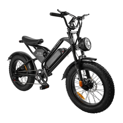 RetroEase DY007 ファットタイヤ電動自転車