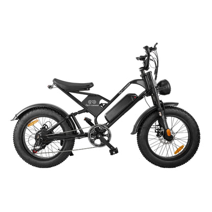 RetroEase DY007 ファットタイヤ電動自転車