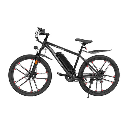 RetroEase DY2601Lファットタイヤ電動自転車