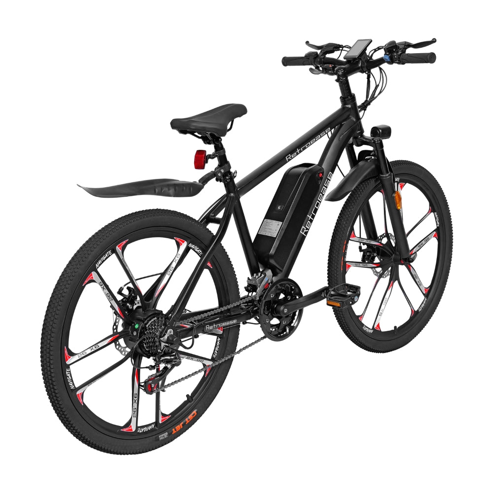 RetroEase DY2601Lファットタイヤ電動自転車