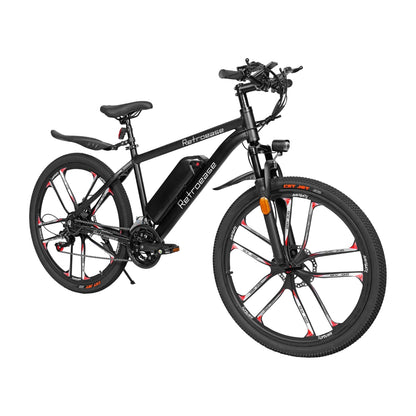 RetroEase DY2601Lファットタイヤ電動自転車