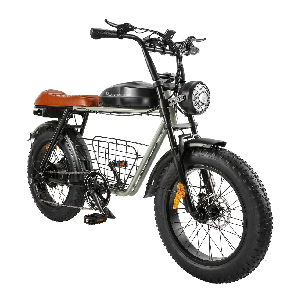 RetroEase DYS2 ファットタイヤ電動自転車｜都市とオフロード向けの