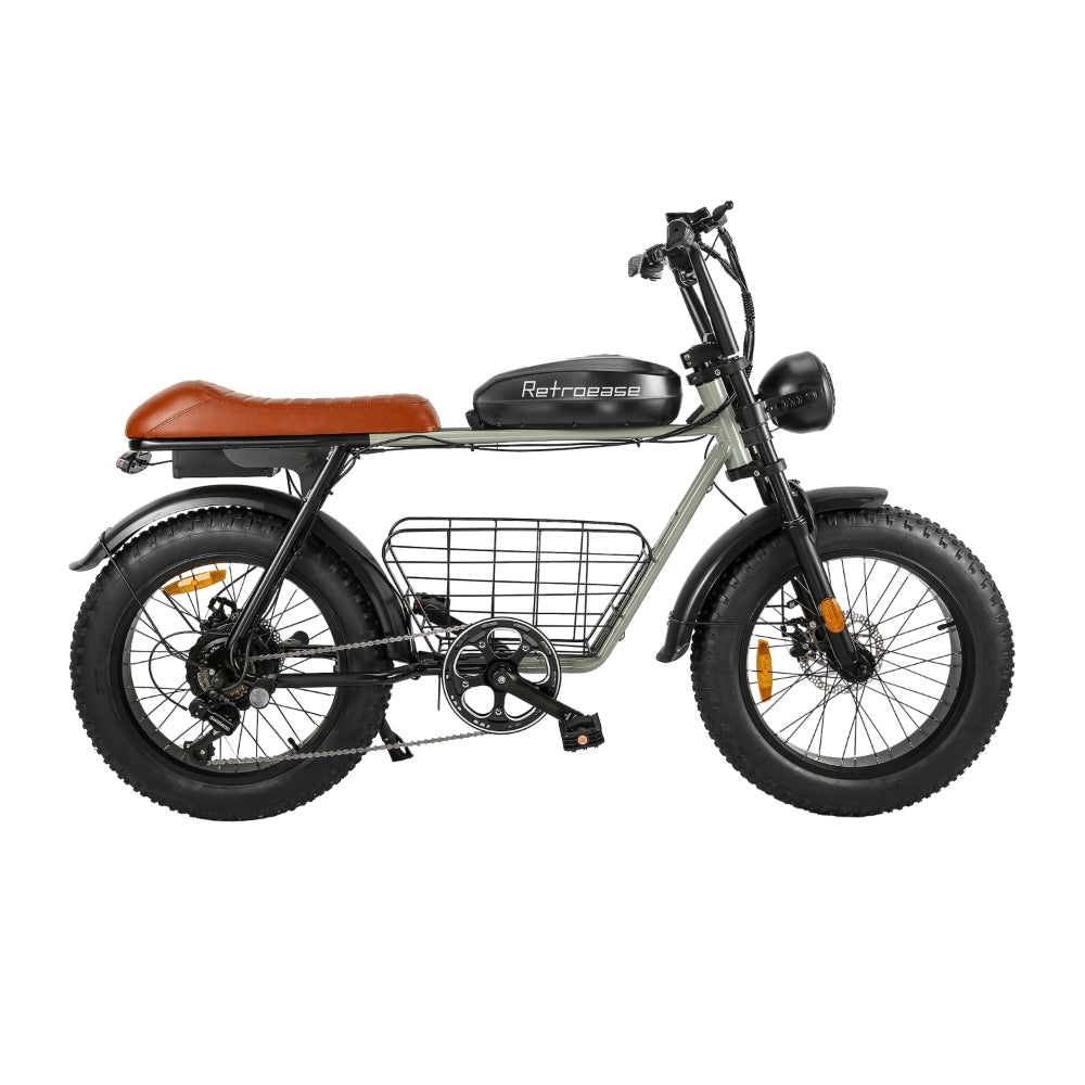 RetroEase DYS2 ファットタイヤ電動自転車｜都市とオフロード向けの
