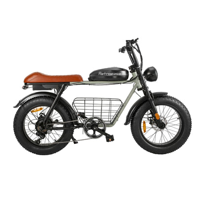 RetroEase DYS2 ファットタイヤ電動自転車